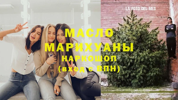 сатива Армянск