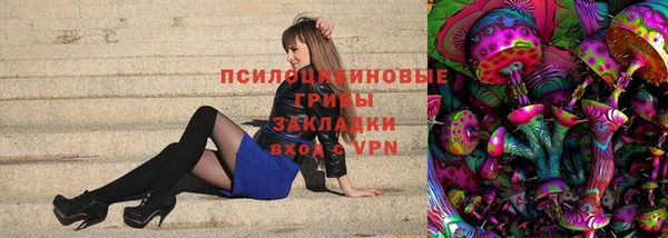 ГАЛЛЮЦИНОГЕННЫЕ ГРИБЫ Аша