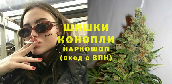 сатива Армянск